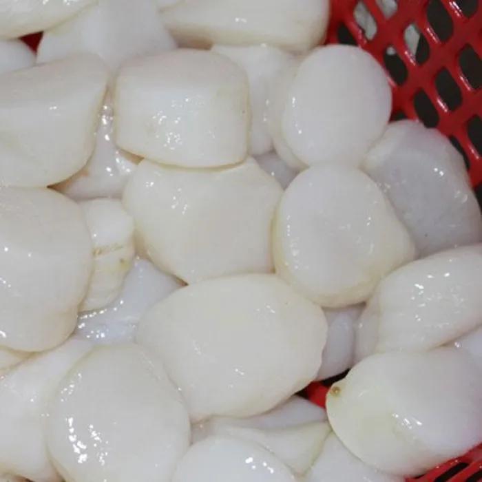  Морепродукты высокого качества с фестонами по конкурентоспособной цене/праздничные 84 845 639639