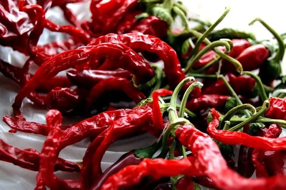 Dried chili best price quality big quantity buy direct from farmer at vietnam Hot Sale Spices Chili From Vietnam With