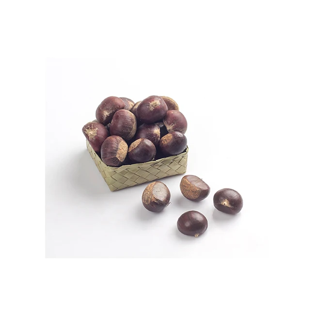 Fresh Chestnuts Fruits and Vegetables Delicious Premium Quality for 100% Export