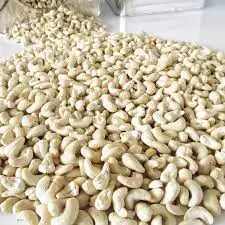 Вьетнам заводская цена Премиум качество кешью орехи W180- W240- W320- W450 без скорлупы.