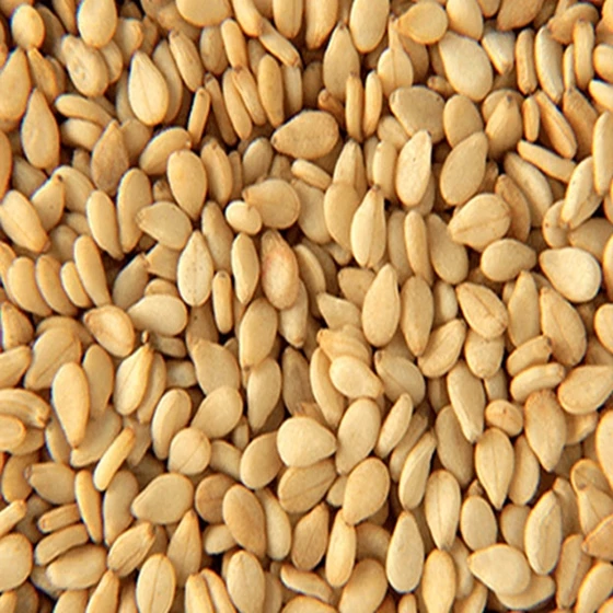 Органические кунжутные семена (1600121648189)