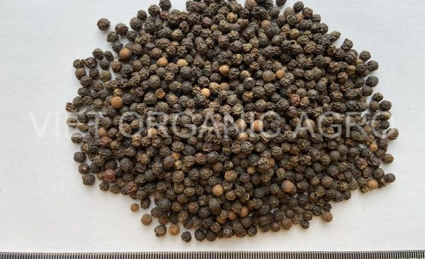 Whole Sale Price High Grade Great Taste Natural Product Black Pepper from Vietnam Black Pepper 500 GL Clean
