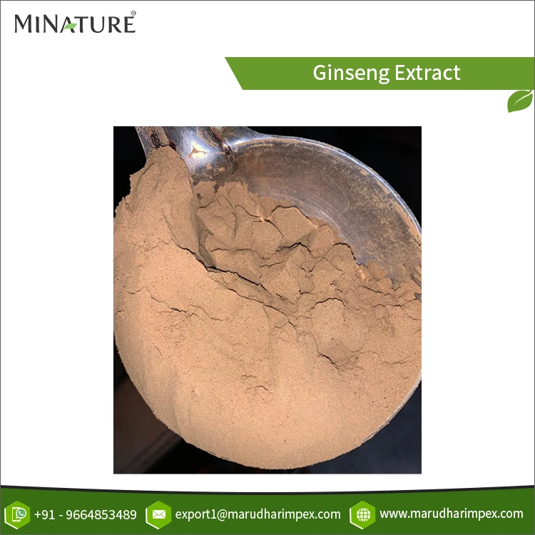 High Purity Best Performance 100% Natural & Pure Ginseng Extract Herbal Powder for Bulk Purchasers