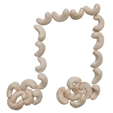 
OEM packing healthy foods ORGANIC CASHEW W450 