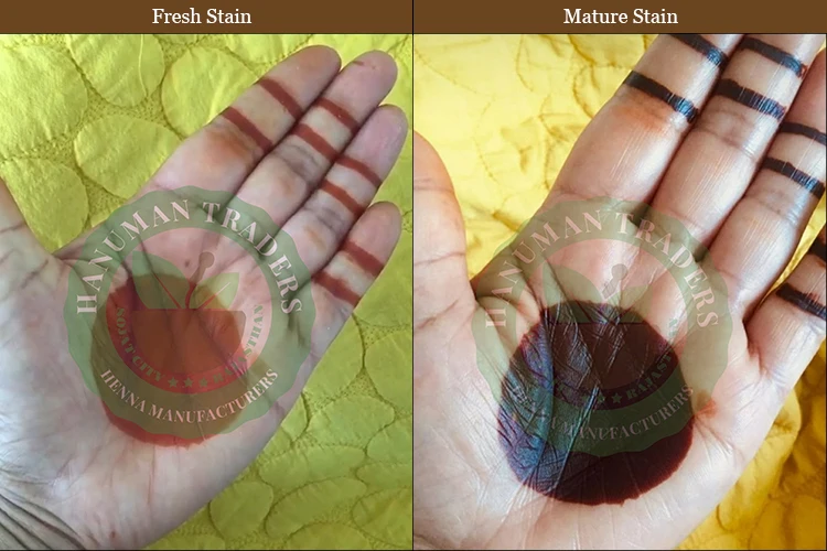 Premium Natural Refined Henna Powder For Body Tattoo Buy From Leading Manufacturer company made in india