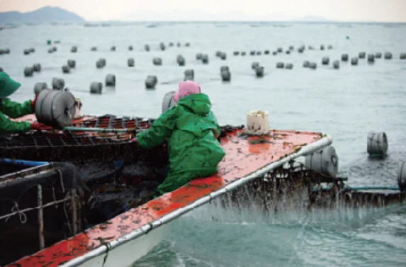 Korean Certified Top Factory Green Dark Color 100 Sheets A Grade Dried Roasted Seaweed Sushi Nori