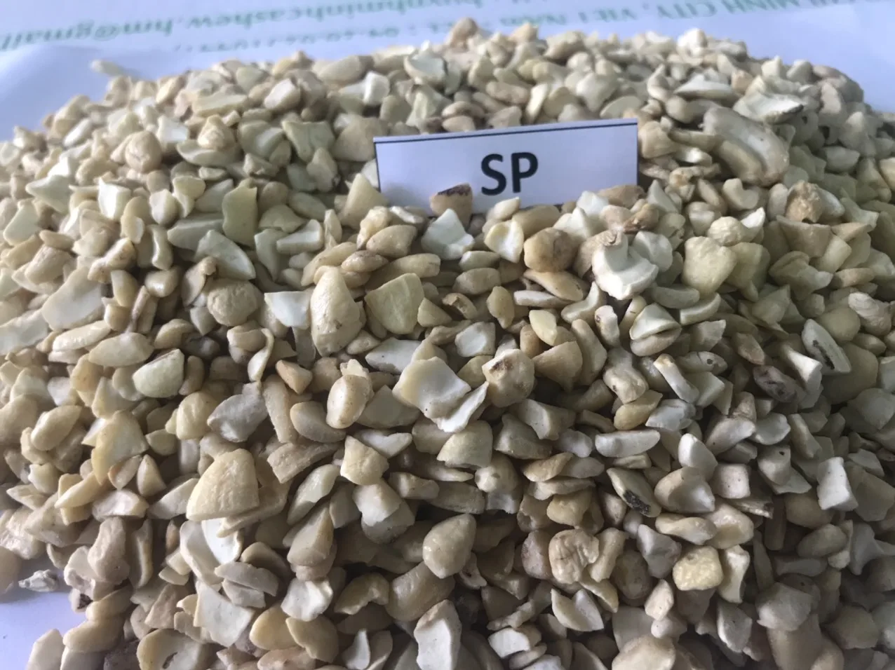 100% natural no additives nuts kernels dried cashew on sale W180 W210 W240 W320 W450 WS LP