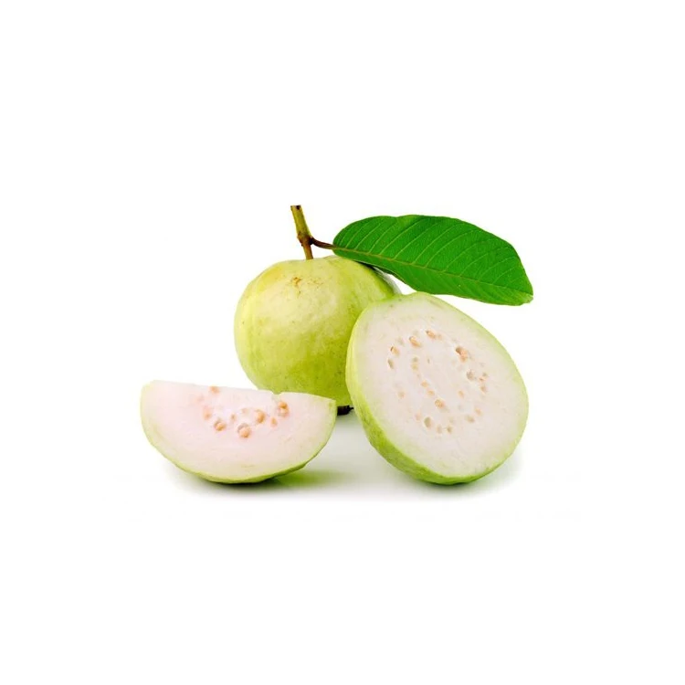 Natural White And Red Guajava Fruits Fresh White Guava