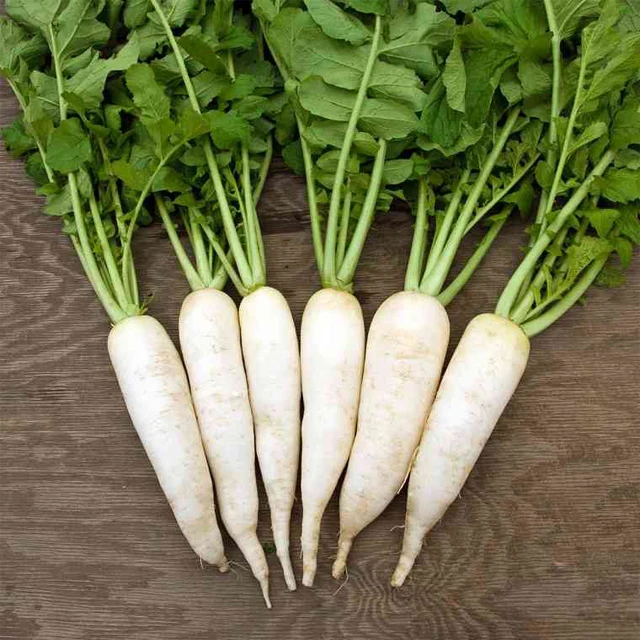 Fresh Super Delicious Taste Premium Quality White Radish - Whole Fruit Export
