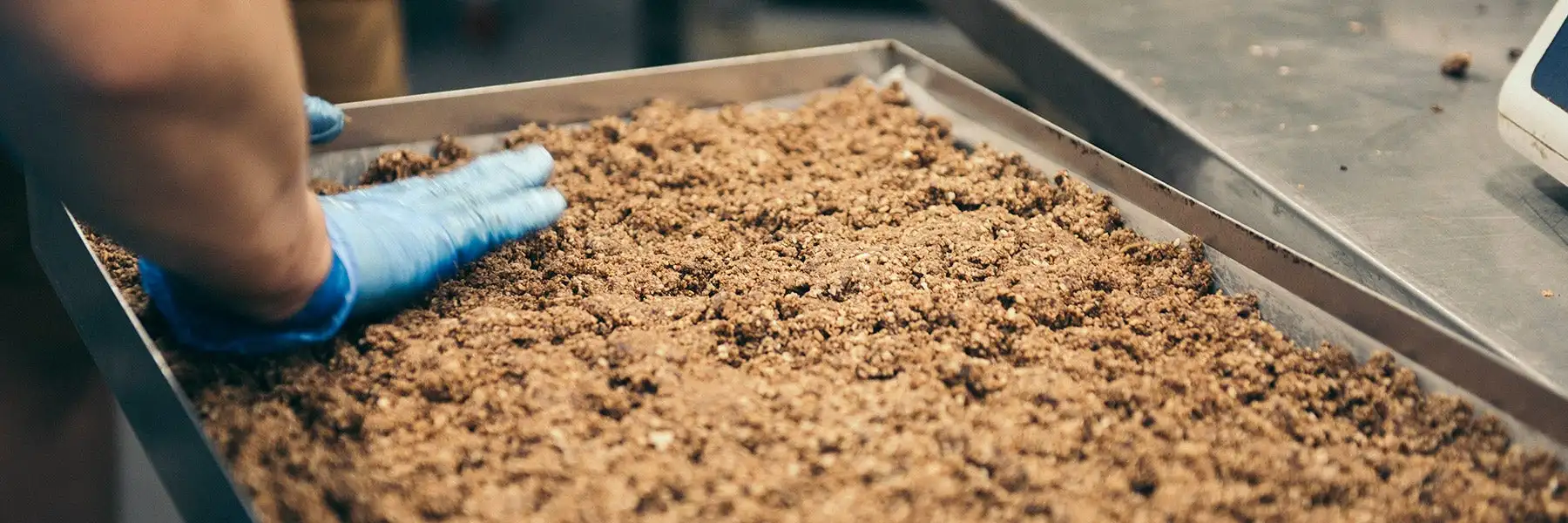 Blue Dinosaur whole food healthy mini bites snack bar Australian bakery flavors