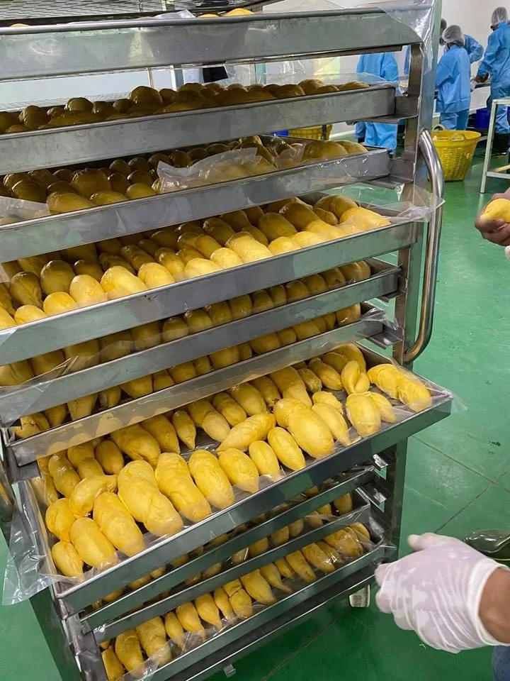 RI6 дуриан так свежий Премиум качество цельный кусок/замороженная целлюлоза фрукты монтонга дешево