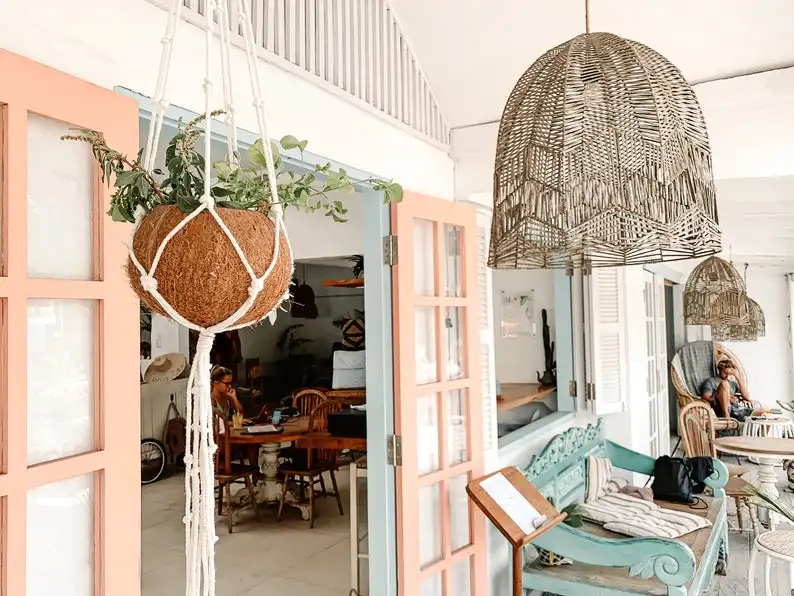 VINAWOCO Coconut shell Macrame plant hanger,  Indoor Outdoor Hanging Plant Pot Holder, Flower pot Coconut shell bowl