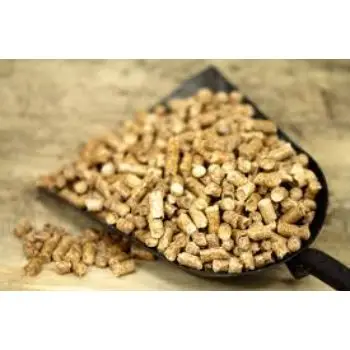 images (12).jfif.jpg