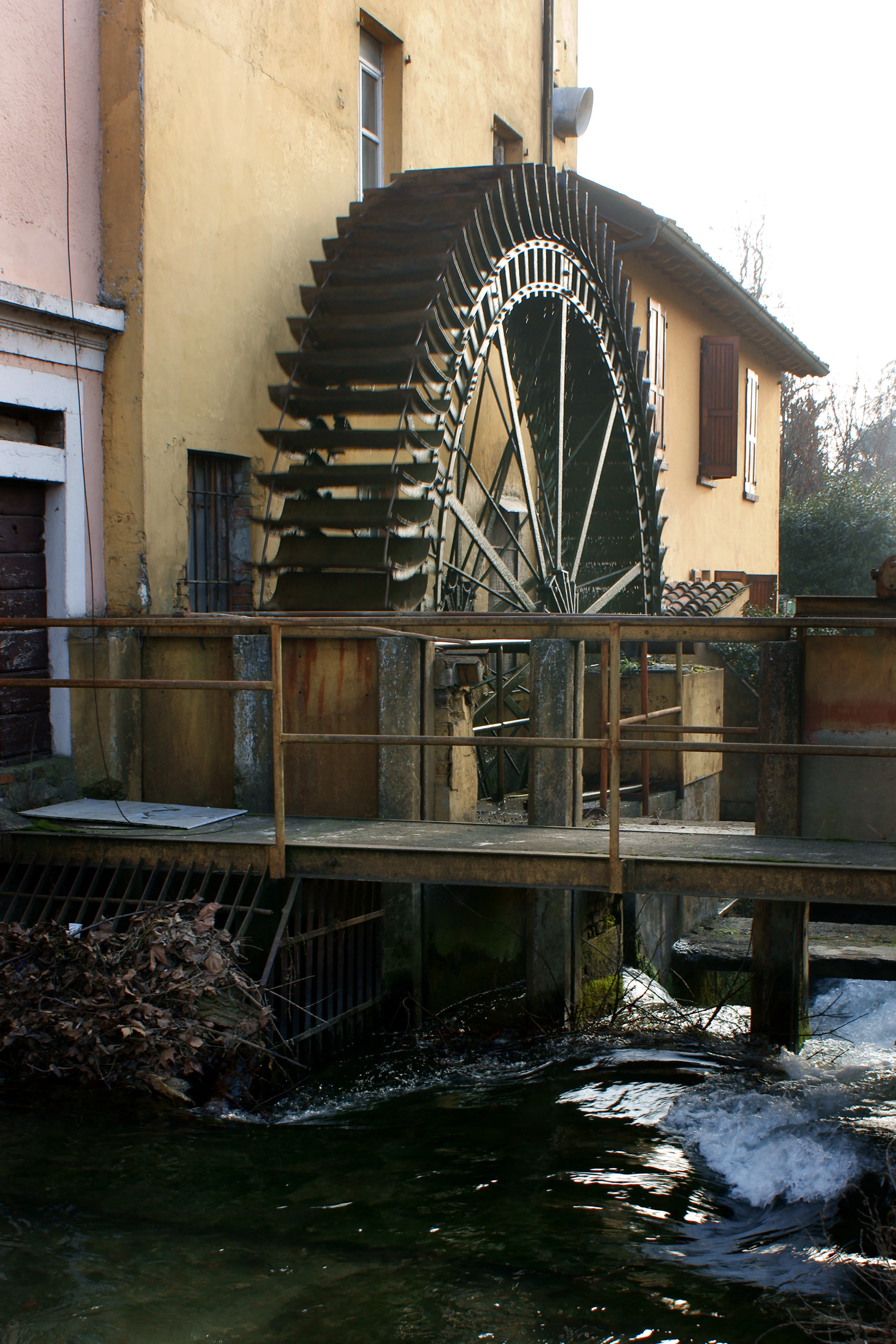 100% made in Italy Corn flour white for polenta  1bags/1 ton polenta ready in 40 minutes kosher glutenfree