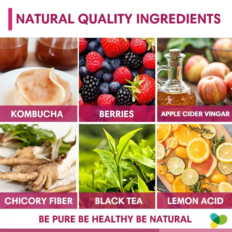 Instant Kombucha herbal extract detox tea power supplement for men women unisex kombucha scoby drink