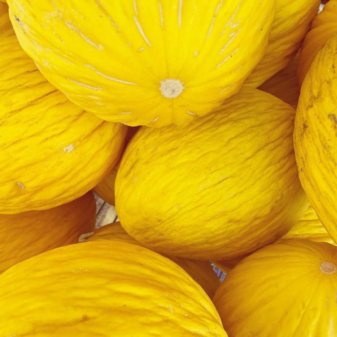 Новый урожай, свежие сандалии Южной Африки