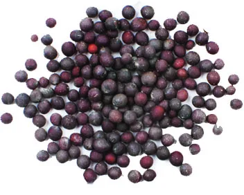 Black Mustard Seeds Single Herbs Spice High Quality Mustard Seeds Custom Packaging Wholesale Black Mustard seed Trusted Supplier