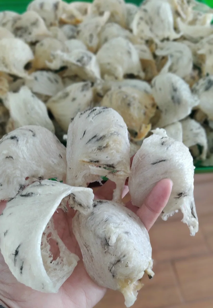 Лучшее качество, необработанное Птичье гнездо для хорошего здоровья по заводской цене