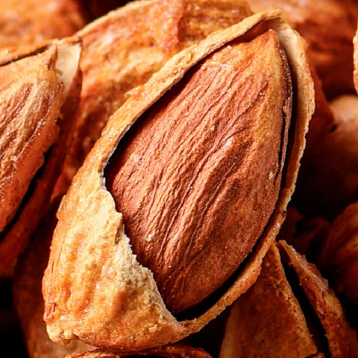 Hazelnut Natural Hazelnut %100 Roasted and Organic Hazelnut Turkey..