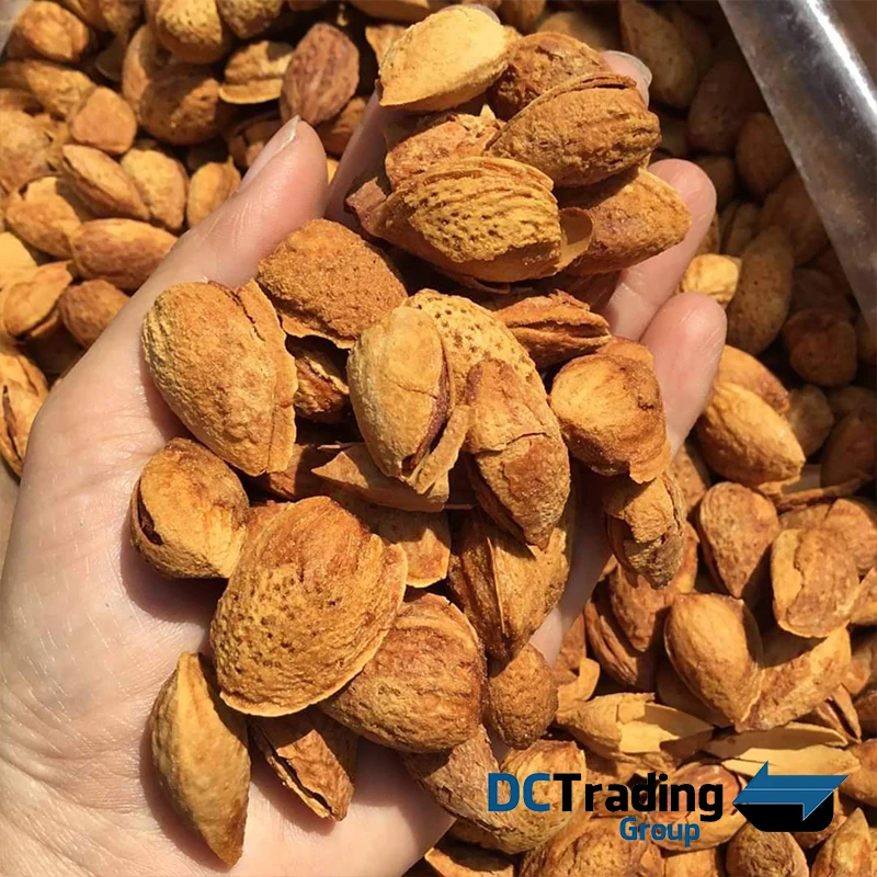 
Premium Almonds In Shell and Kernels Organic at Wholesale Competitive Price 