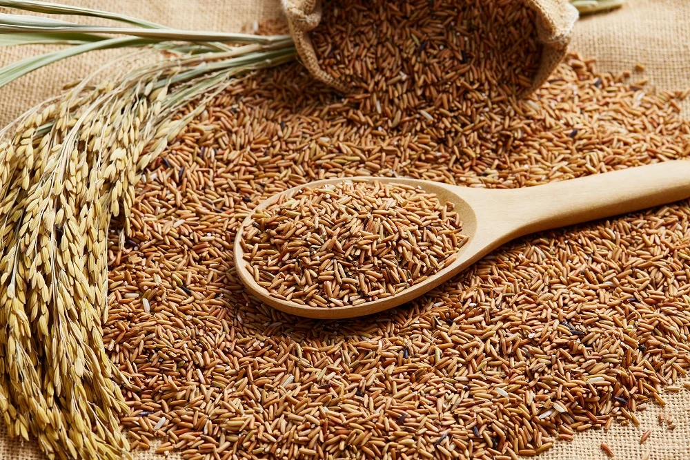 2020 Crop Long-Grain Thai Sangyod Rice Brown Rice  With 12% Max. Moisture in PP Woven Bags Packaging