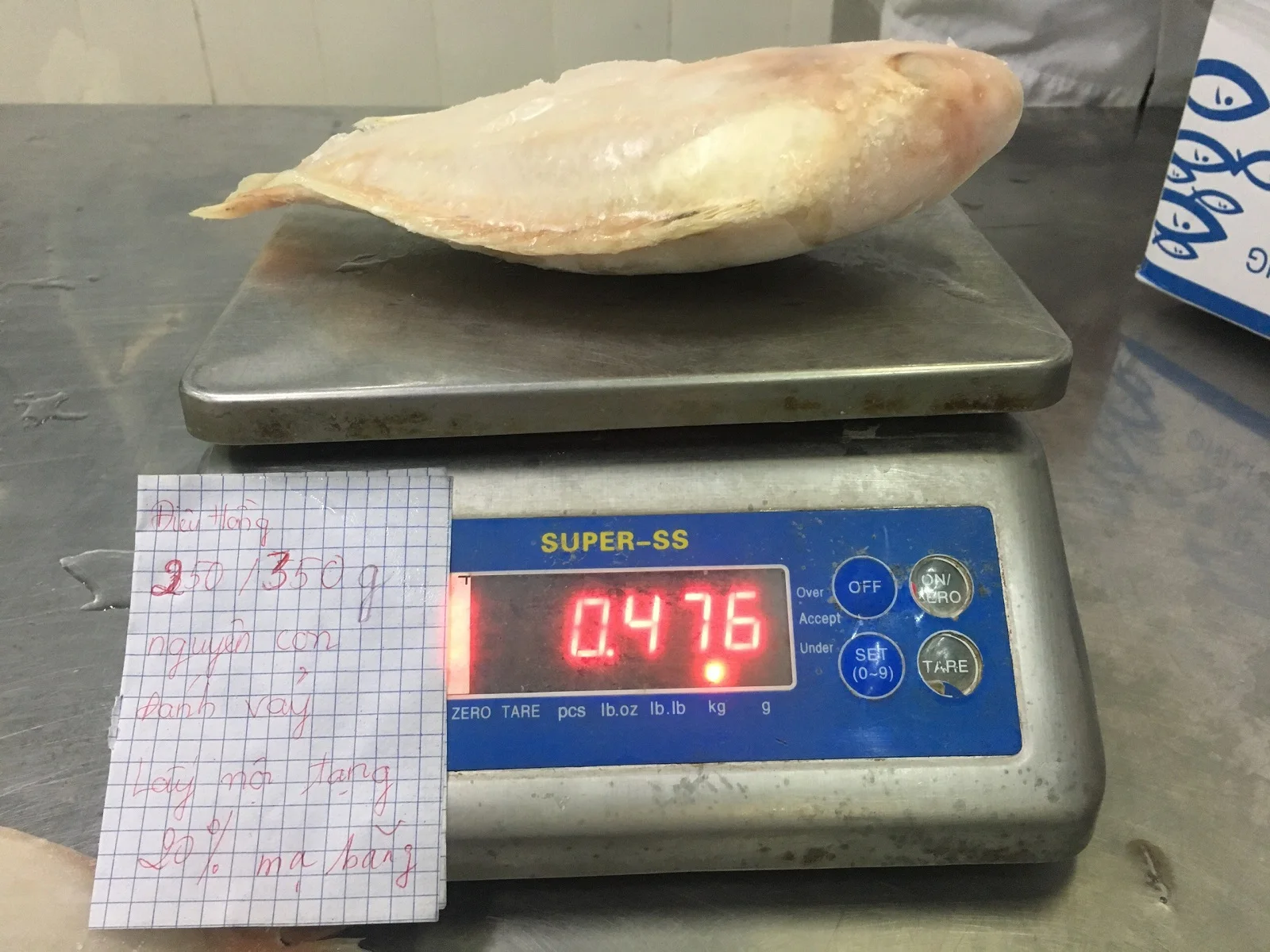 Best Selling Nature Frozen Fresh Whole Body Fillet IQF Oreochromis Spp Red Tilapia