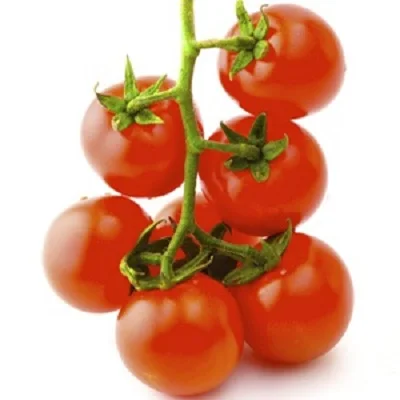 Grown Fresh Red Tomato Roma Robinson Fresh MOQ 10 pieces Quick