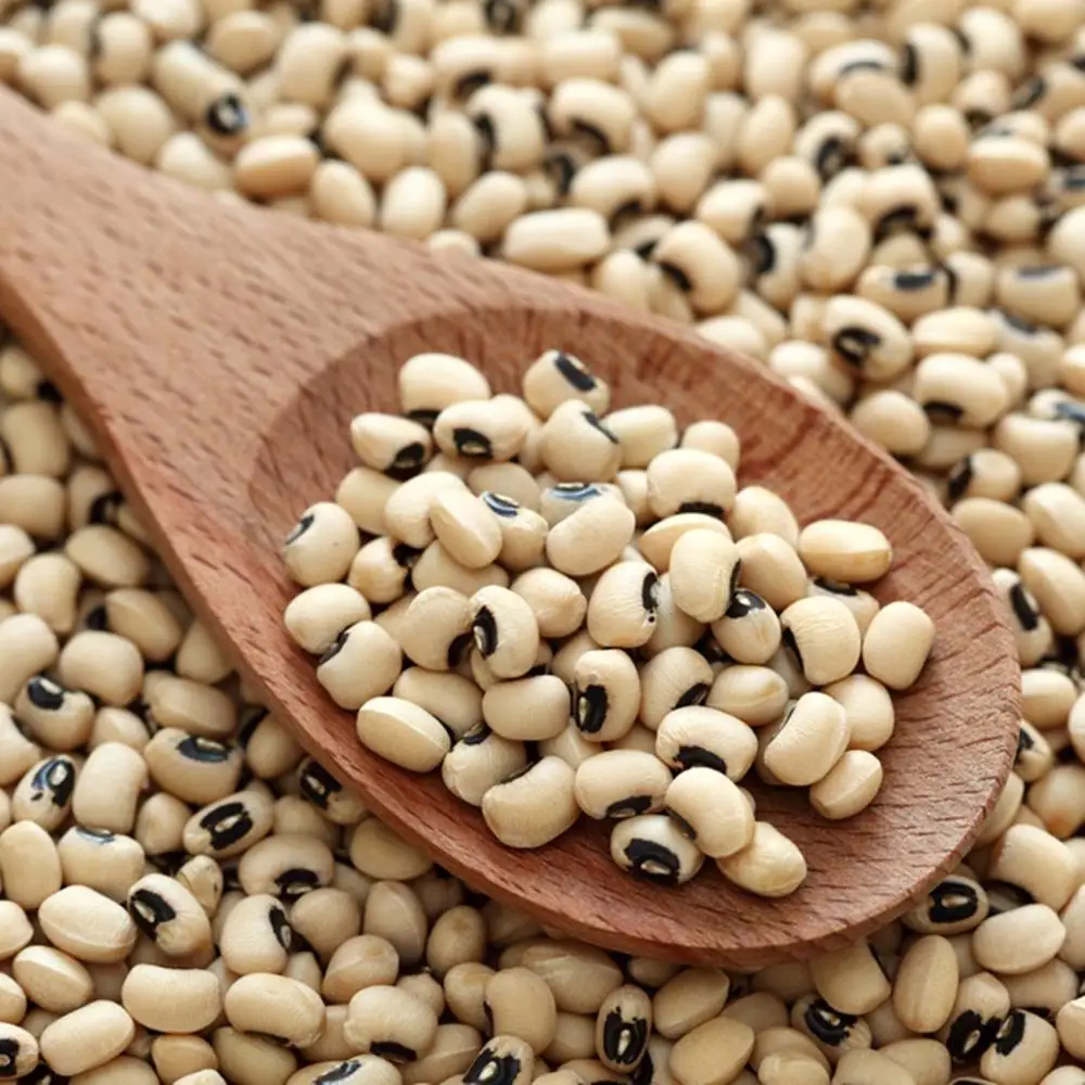 
COWPEAS cowpea for sale / Brown Cowpeas / White Cowpea 