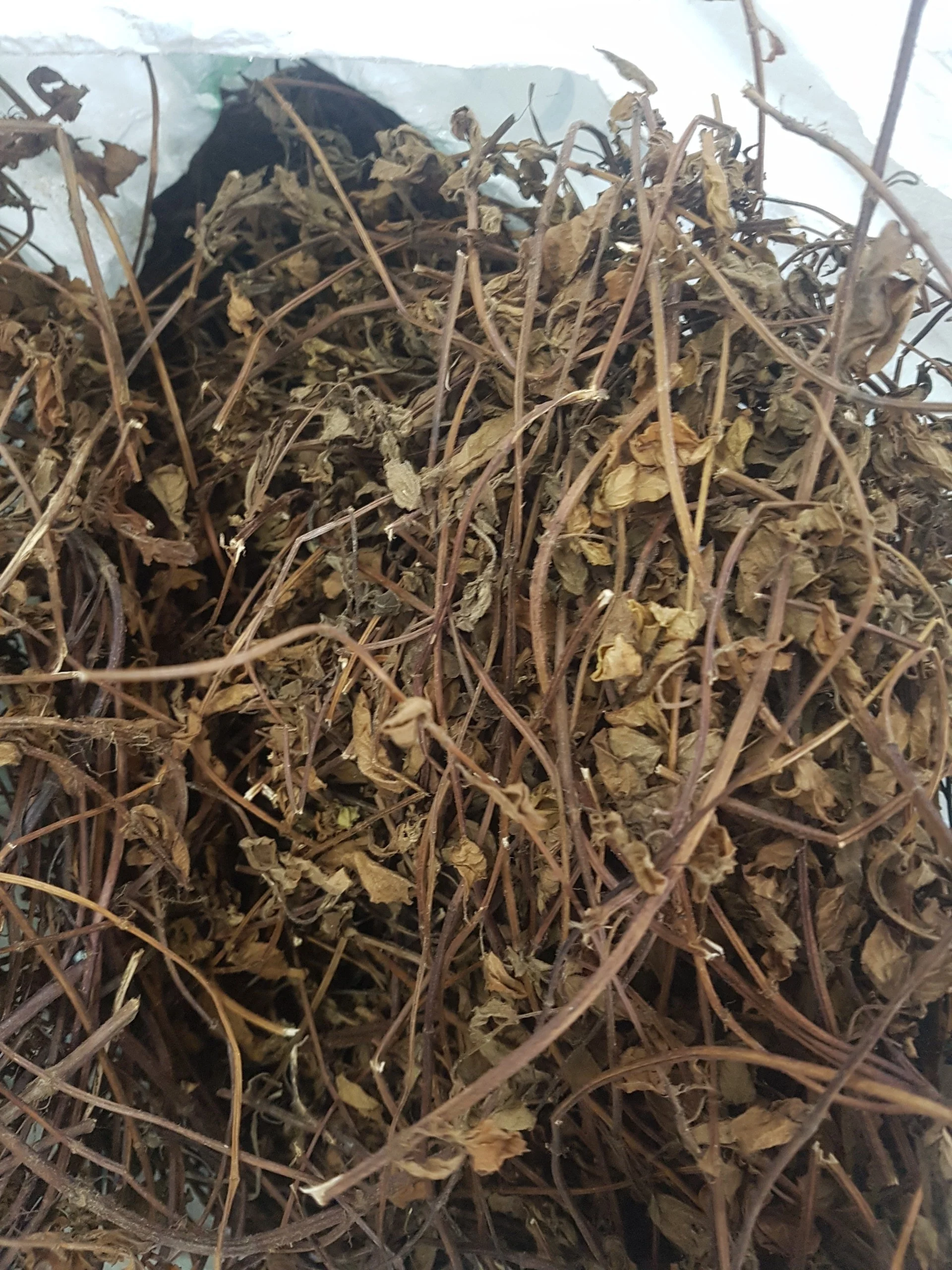 Mesona procumbens листья желе из сушеной травы-Ms Кэти