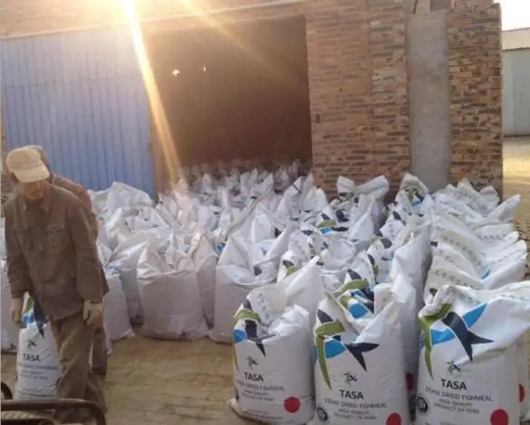 Soybean Meal / FISHMEAL POWDER/ ANIMAL FEED/ PROTEIN 60% for sale