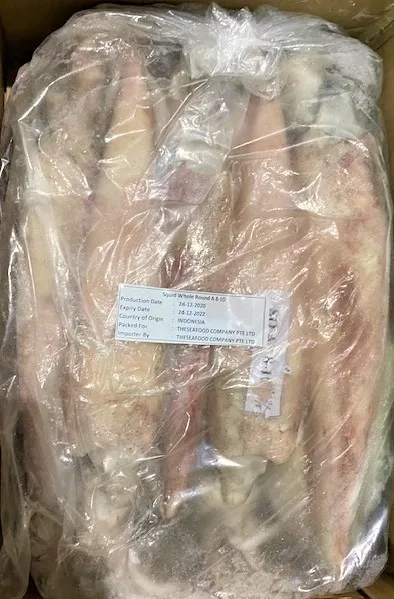 Fresh Loligo Chinensis Calamari Plain Packaging 2 kg/pkt Frozen Whole Round Squid with Tentacles of Squid