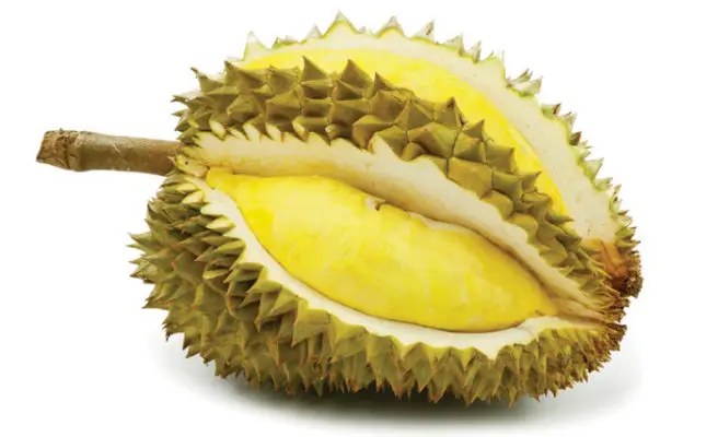 MONTHONG DURIAN - DURIAN FRUIT PRICE - VIETNAM DURIAN FRUIT (+84938244404)