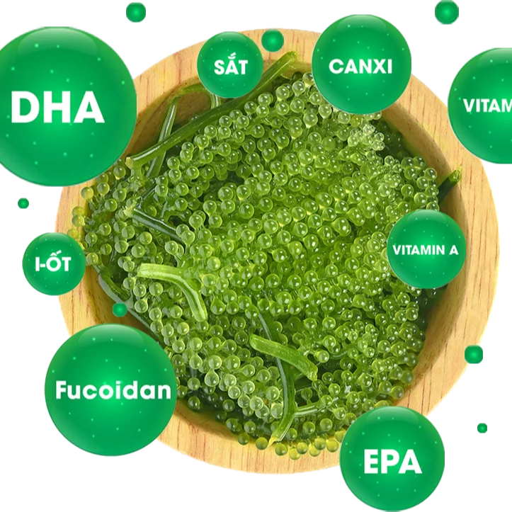 Very reasonable prices and high quality Natural Seaweed from Viet Nam