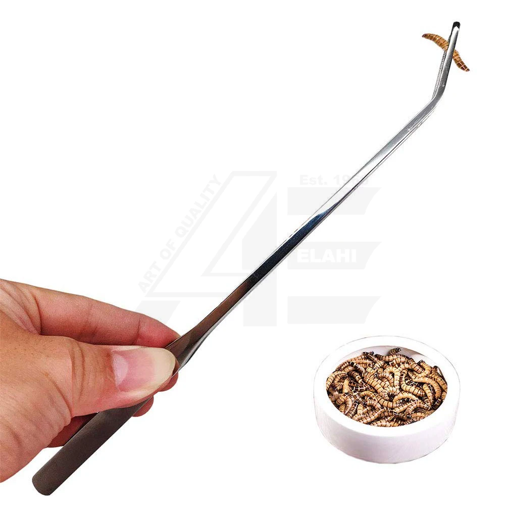 Reptile Feeding Tongs Aquarium Stainless Steel Straight and Curved Tweezers Polished Long Handle Feeder Tools for Lizard Snake