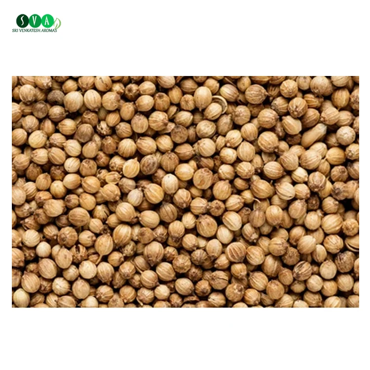 Новое поступление 2022 года доступное чистое натуральное органическое эфирное масло семян кориандра