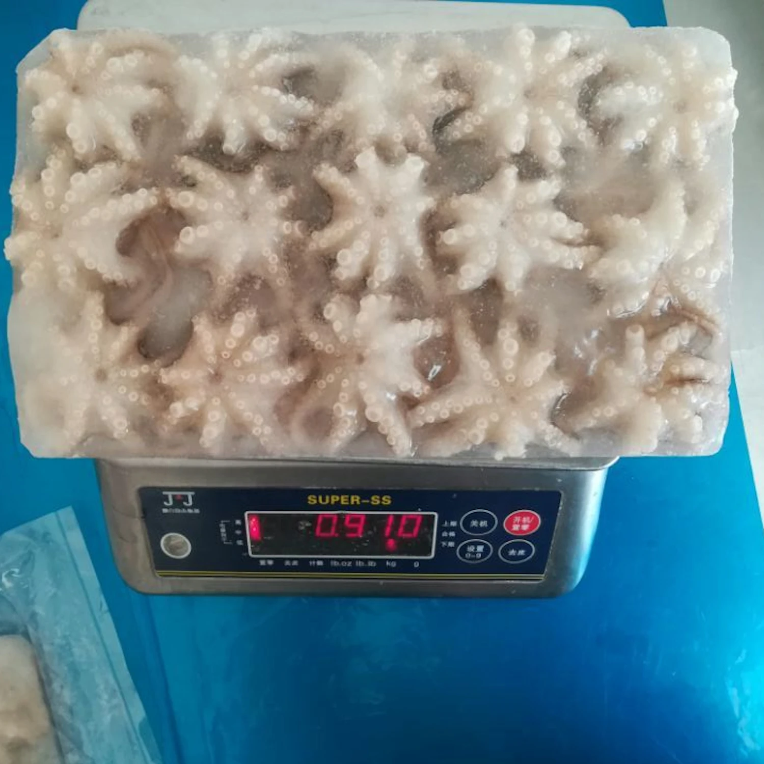 Good quality cheap price IQF Frozen baby octopus for sale