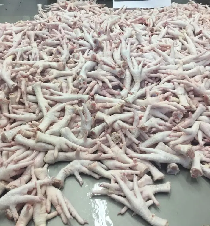 Quality Certified Halal Frozen Chicken Feet/ Chicken Wings/ Frozen Whole Chicken