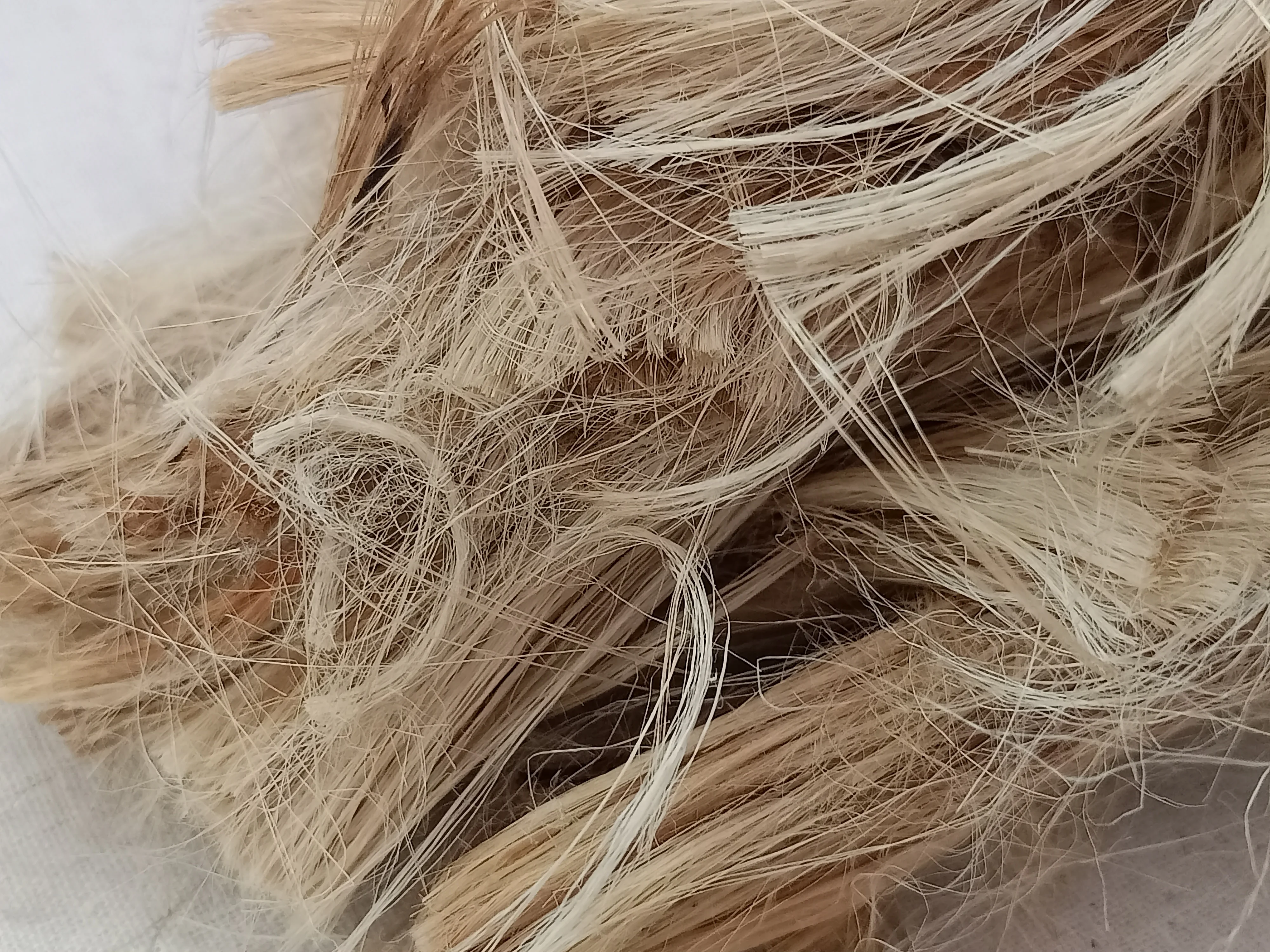 Натуральные пеньковые волокна размером 6 см подходят для текстильных спиннеров и образовательных проектов
