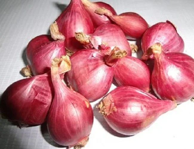 
Fresh red Onion/fresh shallots with top quality in Vietnam_Vikafoods (+84983028718) 