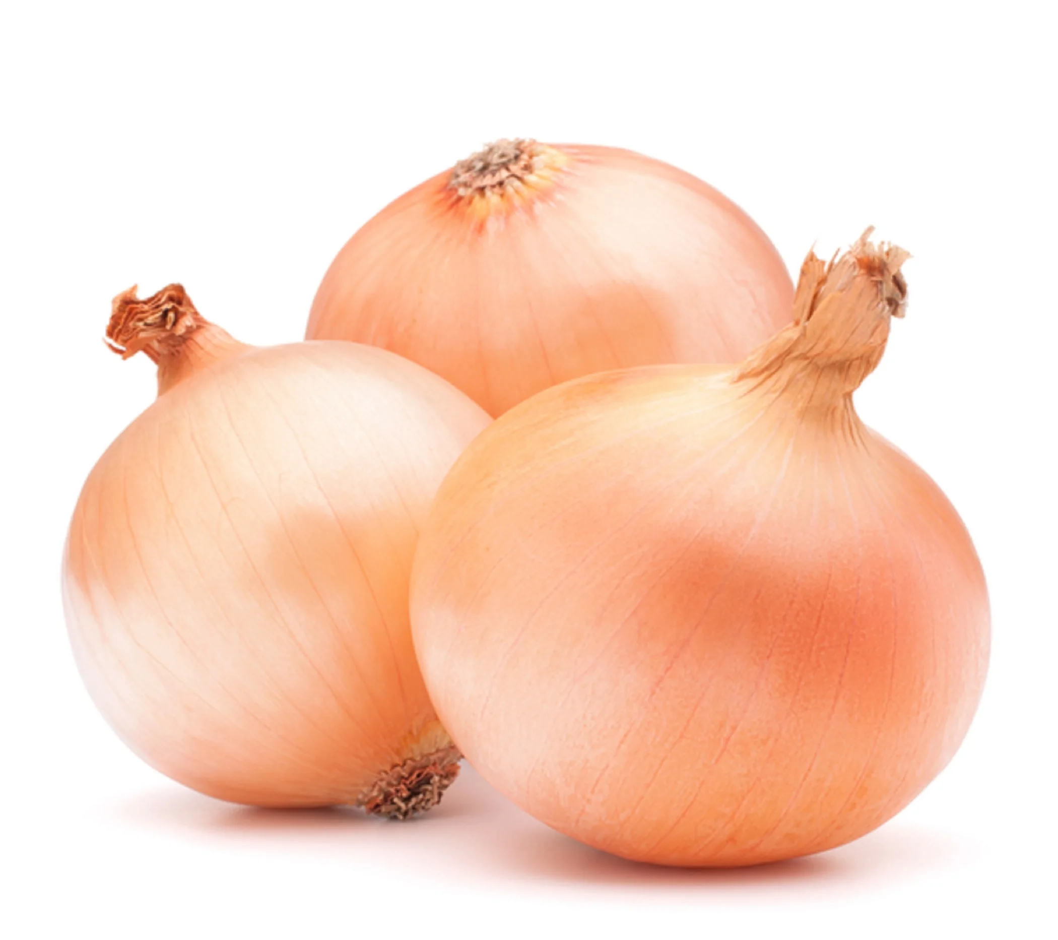 
2021 Fresh Onion/Onions Price Ton New Crop 