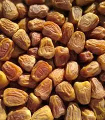 Свежий урожай Премиум-Качества, импортированный из Саудовской Аравии, Мадина муавара SUKKARI DATE, мягкий вкусный, насыпью, черный, здоровый (KHAJOOR)