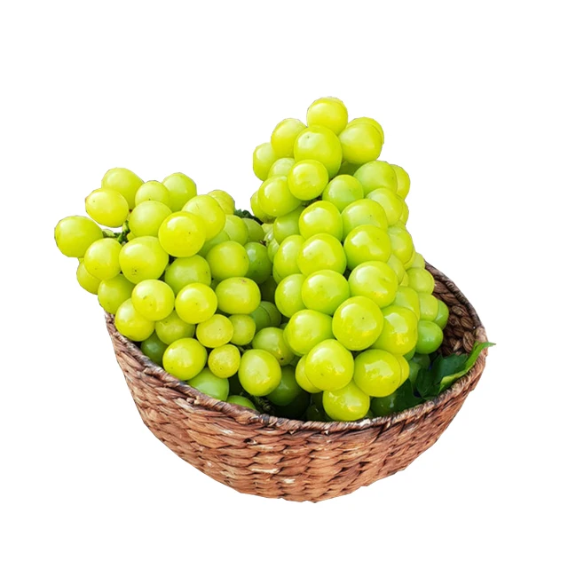 
Korean Seedless Natural Fresh Green Grapes Fruit Delicious Sweet Shine Muscat 