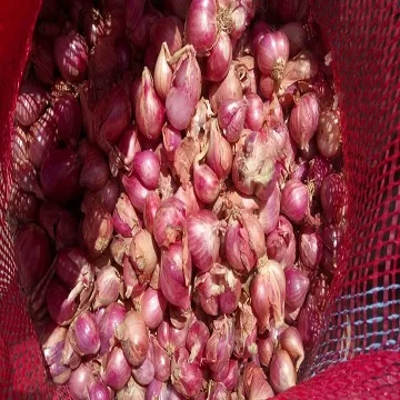 Indian Exports for onion from Arputham exports Podisu onion