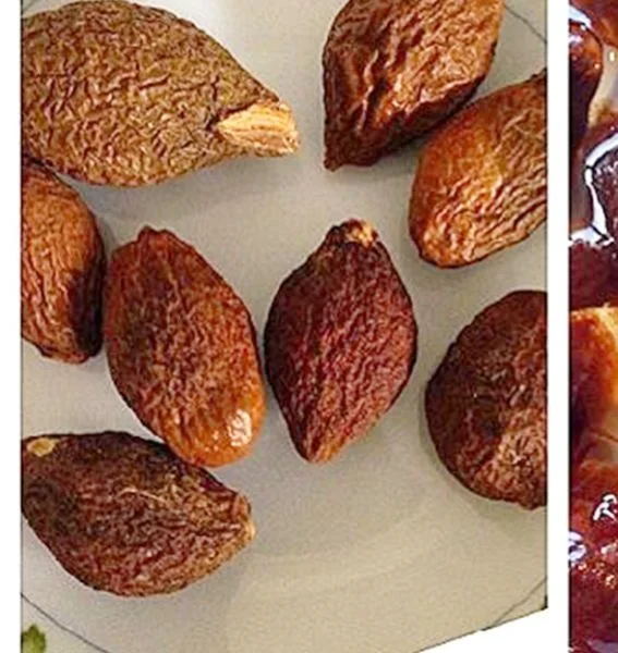 MALVA NUT FROM VIETNAM/ BEST PRICE AND HIGH QUALITY/  GOOD FOR HEALTH (WA: MS.LAURA +84 91 850 9071 )