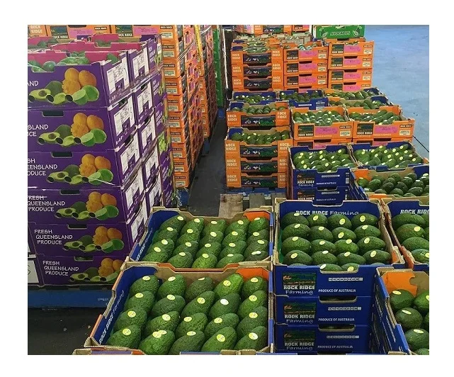 Fresh green Avocado (1600406900751)