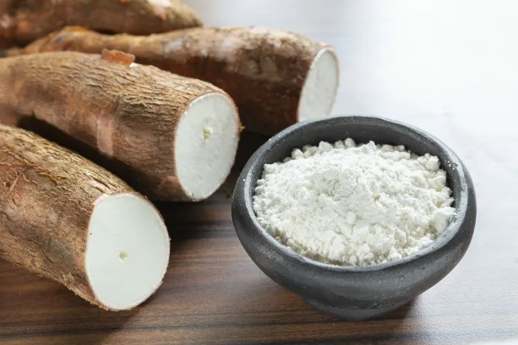 
Fresh Cassava in bulk 