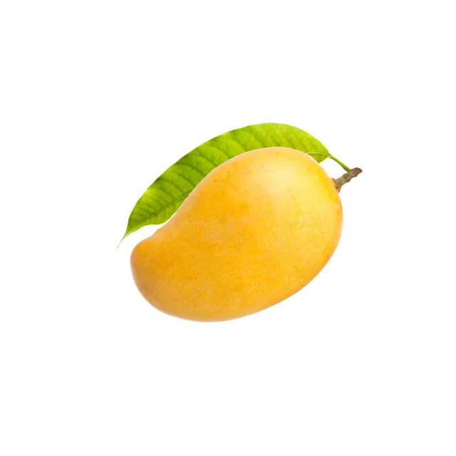
Best Quality Fresh Mangoes From Pakistan In Affordable Price 