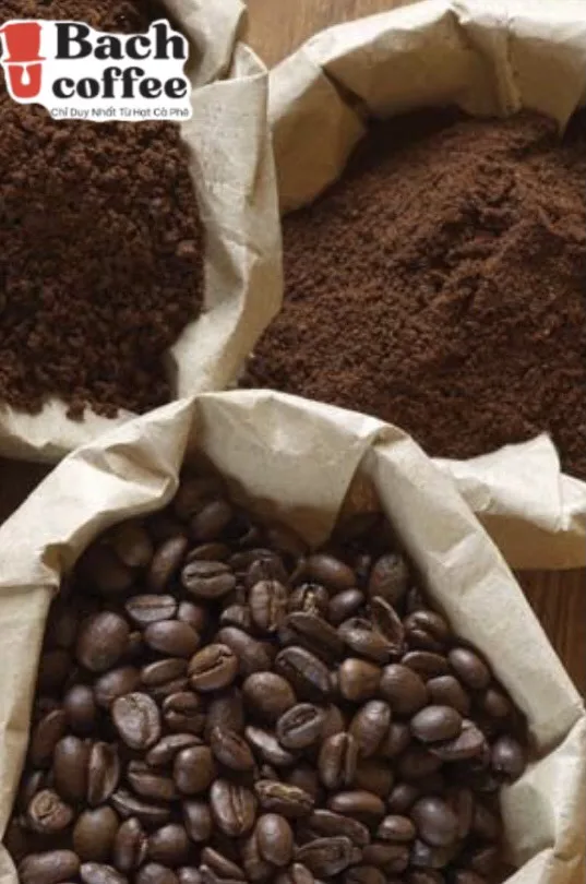 
Vietnamese Grade A high-altitude Beans - Beans Roasted Coffee Robusta - OEM - Direct Trade - Wholesale retail 