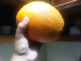 Оранжевый сорт A1 2021 по более низкой цене FOB, доступная для экспорта