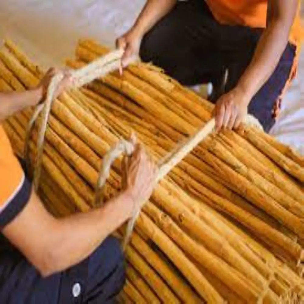 
 Лучшая настоящая цейлонская корица, непосредственно из Шри-Ланки, класс ALba C, Canela, оптом  